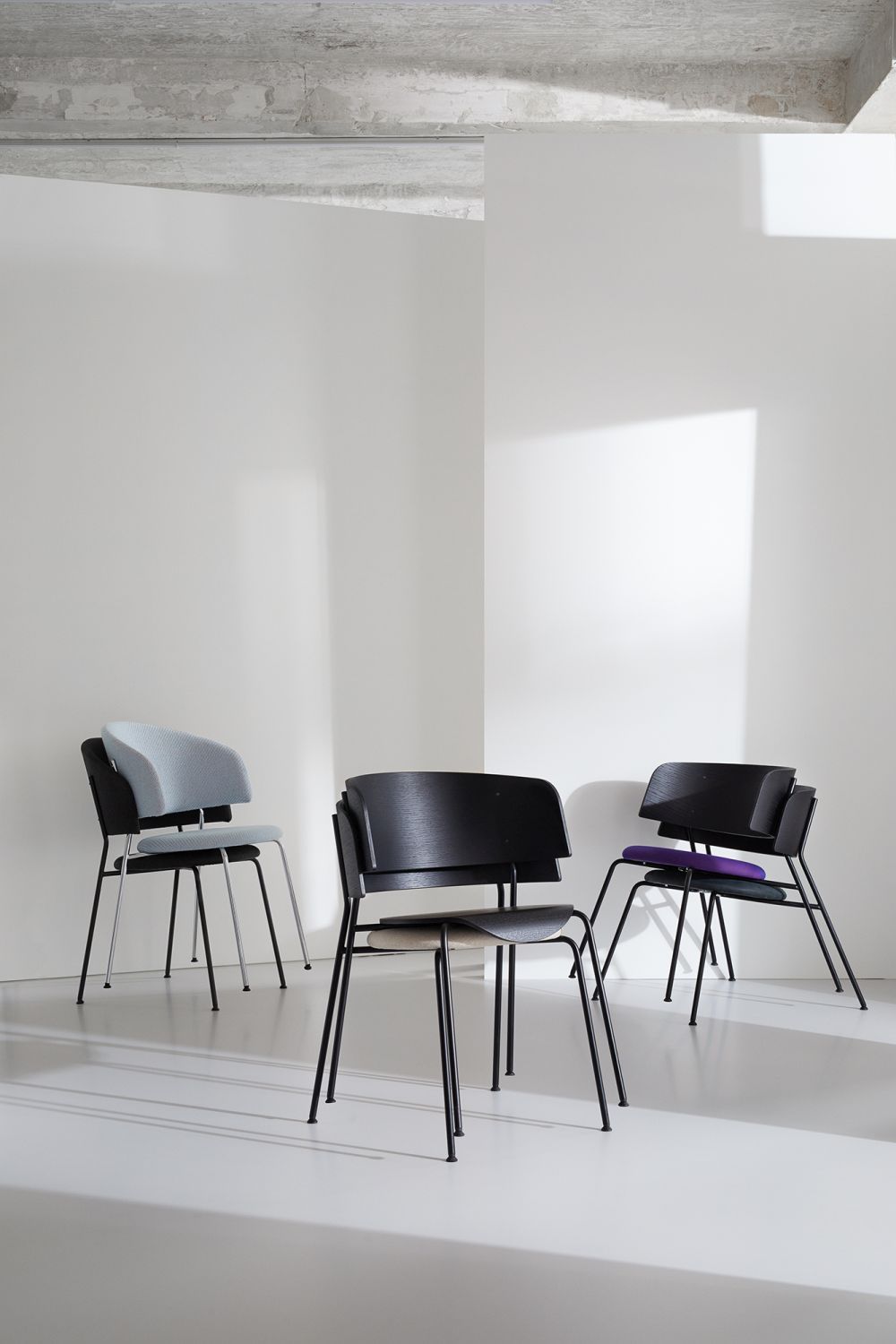 WAGNER Armchair frame black OUT Oak lacquered black OUT WA323000